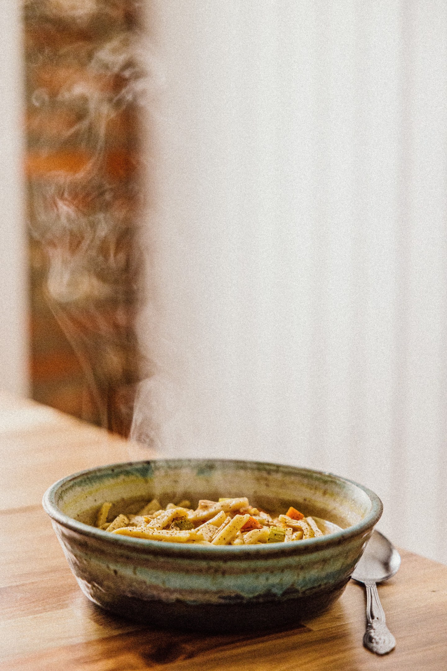 The best homemade Chicken Noodle Soup!